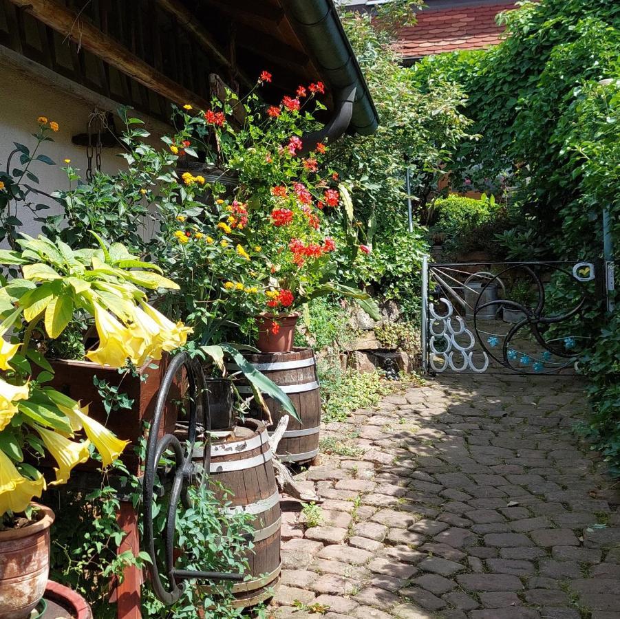 Apartament Beim Schlafwandler Karlsbad Zewnętrze zdjęcie